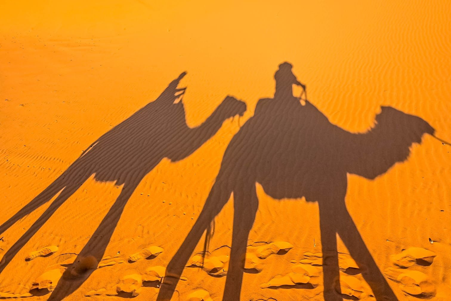 IMG-20200116-WA0031 IMG-20200116-WA0031