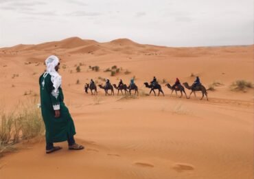 A camel tour